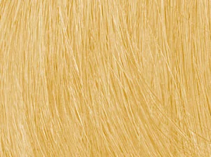 coloration végétale blond