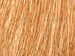 coloration naturelle blond naturel
