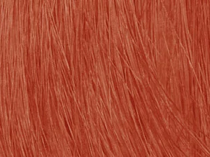 coloration cuivré sur cheveux blancs