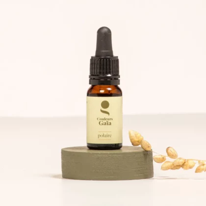 Quintessence polaire, le complexe d’huiles essentielles certifié bio pour des reflets nacrés de 10ml est fermé, posé sur un socle d'argile. Ambiance naturelle et végétale.