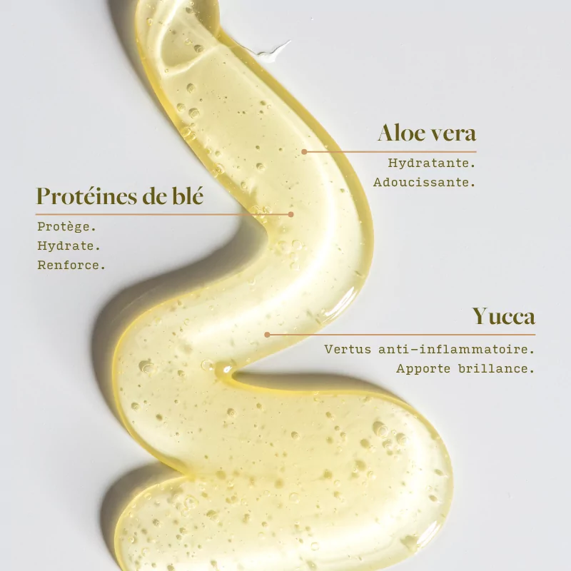 Visuel de texture de shampoing doré avec bulles et mentions des ingrédients : protéines de blé, Aloe vera et Yucca.