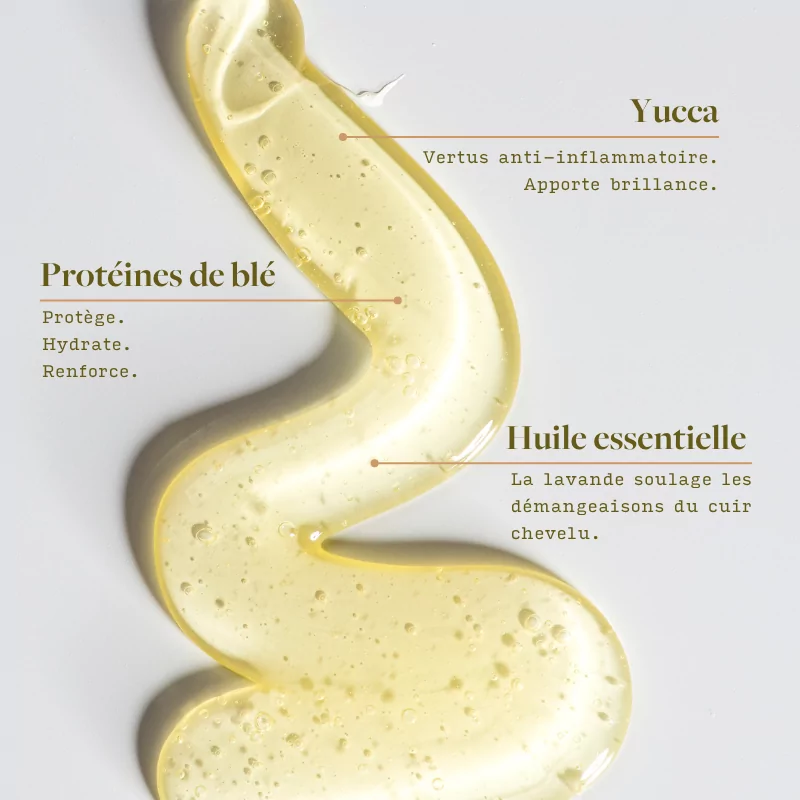 Visuel de texture de shampoing doré avec bulles et mentions des ingrédients : protéines de blé, huile essentielle de lavande et Yucca.