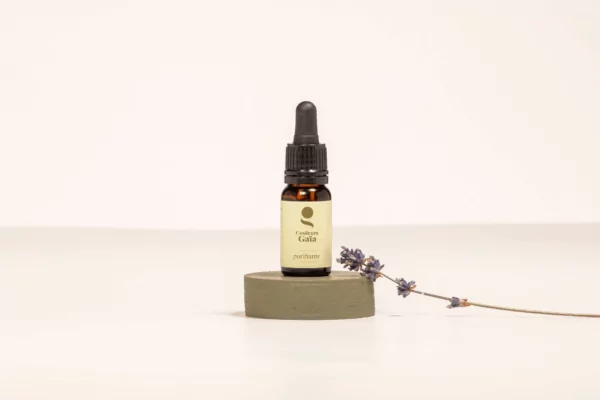 Complexe d'huiles essentielles certifié bio pour un cuir chevelu assaini - QPUR10-C1 – Image 2